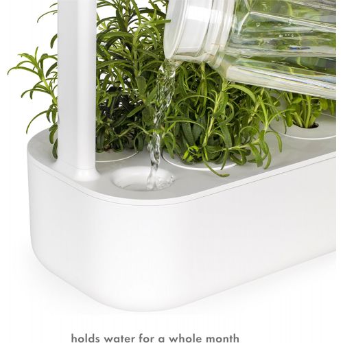  Visit the Click and Grow Store Click and Grow Smart Garden 9 Indoor Home Garden (Includes 3 Mini Tomato, 3 Basil and 3 Green Lettuce Plant pods), White