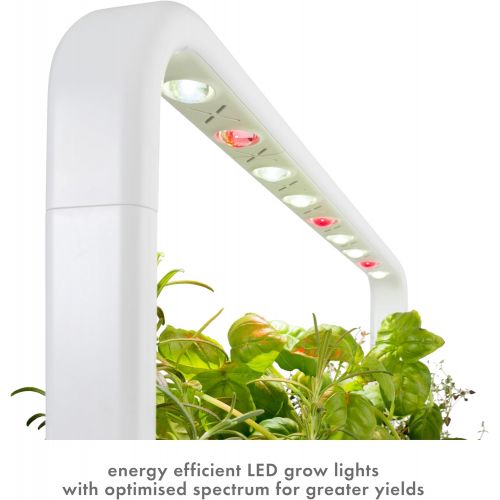  Visit the Click and Grow Store Click and Grow Smart Garden 9 Indoor Home Garden (Includes 3 Mini Tomato, 3 Basil and 3 Green Lettuce Plant pods), White