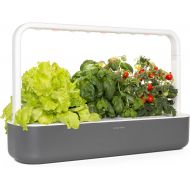 Visit the Click and Grow Store Click and Grow Smart Garden 9 Indoor Home Garden (Includes 3 Mini Tomato, 3 Basil and 3 Green Lettuce Plant pods), Gray