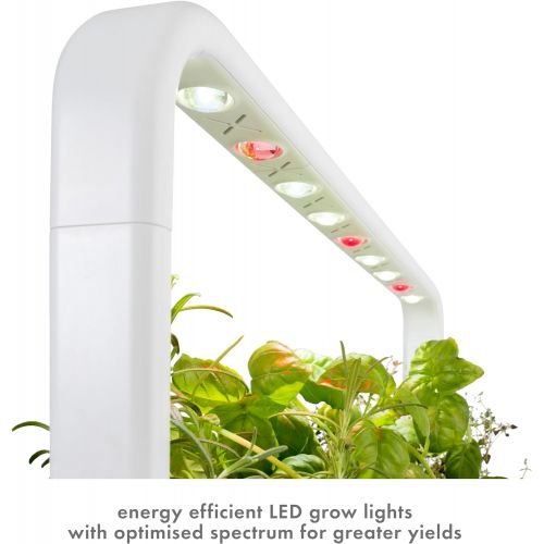  Visit the Click and Grow Store Click and Grow Smart Garden 9 Indoor Home Garden (Includes 3 Mini Tomato, 3 Basil and 3 Green Lettuce Plant pods), Gray