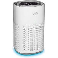 Clorox Air Purifiers for Home, True HEPA Filter, Medium Rooms Up to 1,000 Sq Ft, Removes 99.9% of Mold, Viruses, Wildfire Smoke, Allergens, Pet Allergies, Dust, AUTO Mode, Whisper Quiet