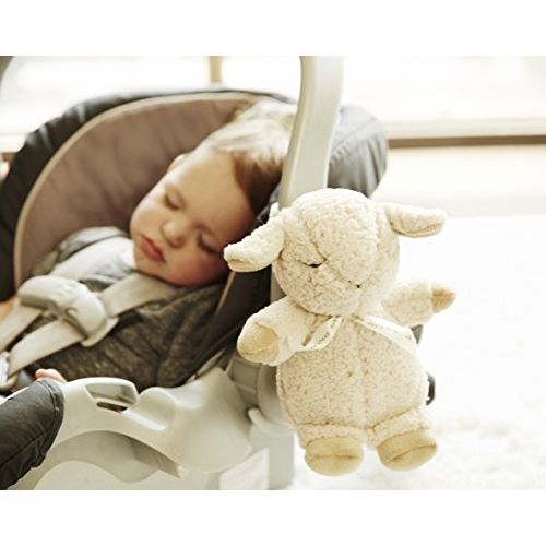  Cloud b Sleep Sheep On The Go Travel Sound Soother