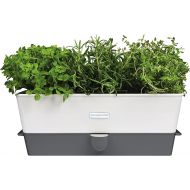 Cole & Mason H105349 Burwell Self-Watering Potted Herb Saver, Windowsill Herb Planter Indoor/Herb Box/Indoor Herb Garden, Triple, Suitable for 3 pots (85 mm), Includes 12 x Pads