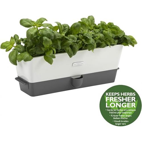  Cole & Mason H105349 Burwell Self-Watering Potted Herb Saver, Windowsill Herb Planter Indoor/Herb Box/Indoor Herb Garden, Triple, Suitable for 3 pots (85 mm), Includes 12 x Pads