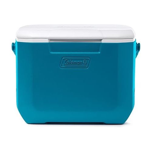 콜맨 Coleman Chiller Series 16qt Insulated Portable Cooler, Hard Cooler with Heavy Duty Handle & Ice Retention, Great for Beach, Picnic, Camping, Tailgating, Groceries, Boating, & More