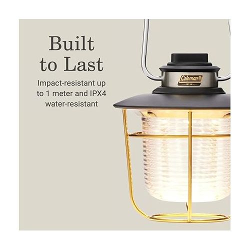 콜맨 Coleman 1900 Collection 200/600 Lumens Premium LED Lantern, Durable Impact & Water-Resistant Lantern with Adjustable Brightness Settings & Carry Handle