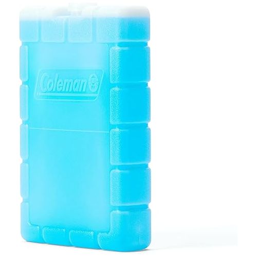 콜맨 Coleman Chiller ICE SUB Brick Medium PDQ C10