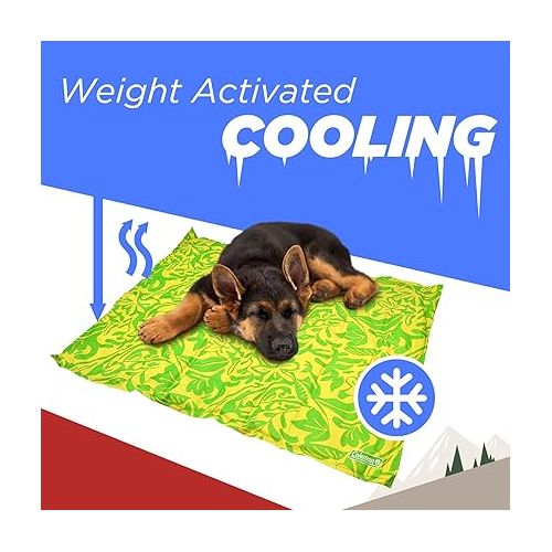 콜맨 Coleman Reversible Cooling Mat