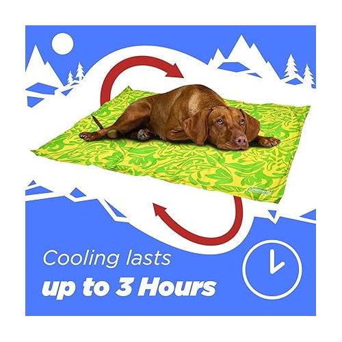 콜맨 Coleman Reversible Cooling Mat