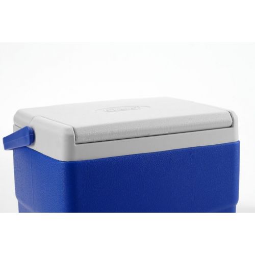 콜맨 콜맨Coleman Excursion Portable Cooler, 9 Quart