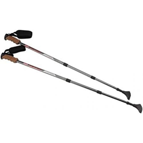 콜맨 Coleman Trekking Poles