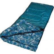 Coleman Sleeping Bag