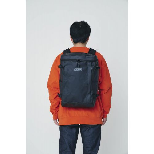 콜맨 Coleman(コ?ルマン) Daypack Backpack, Grey/Black