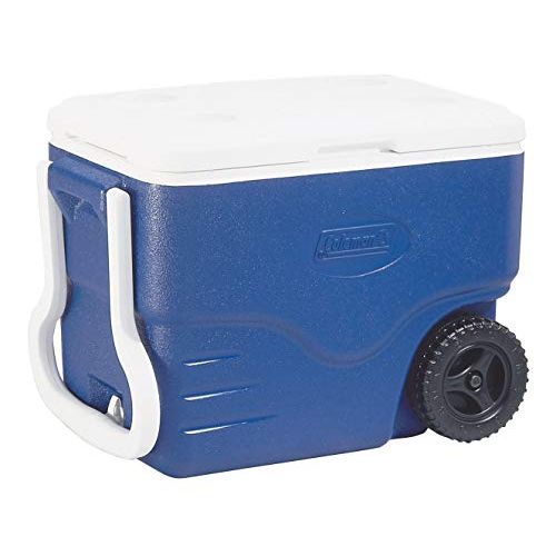 콜맨 Coleman Unisexs 40QT Coolbox, Blue, 40 QT