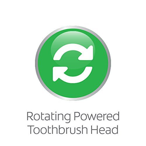  Colgate Kids Battery Powered Toothbrush, Trolls (12 Pack)
