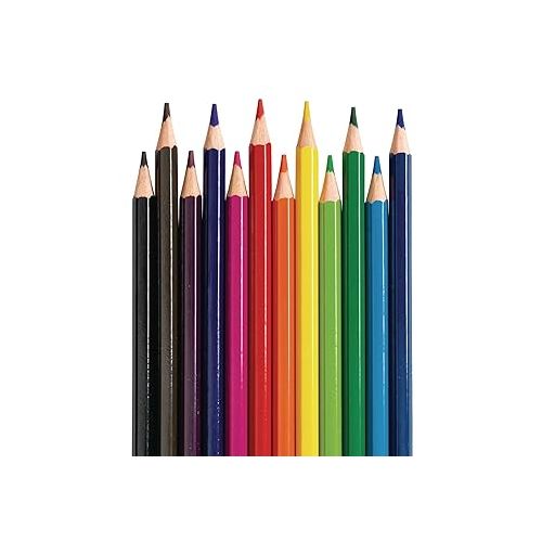  Colorations Color Pencils, Set of 240, Pre-sharpened Color Pencils,12 Colors,Thick Core Pencils,Hexangonal Shape,Sustainably Harvested Wood Pencils, Classroom Supplies,Coloring Pencils,Drawing Pencils