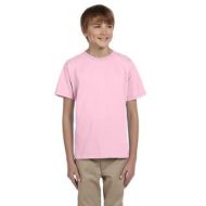 Comfortblend Boys Ecosmart Pale Pink Crewneck T-Shirt by Hanes
