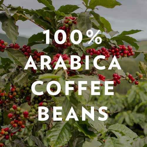  Community Coffee Medium Dark Roast, Premium Ground, Half Caff, 32 Oz Bag, Full Body Smooth Full Flavored, 100% Select Arabica Coffee Beans