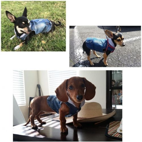  Companet Pet Vests Dog Denim Hoodies Dog Clothes Puppy Jacket Dog Outfit for Small Dogs