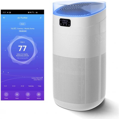  Compass Home Smart Air Purifier - H13 HEPA Filter 3-Stage Air Filtration for Allergies, Pollen, Dust, Odors, Smoke, Pet Dander, Bacteria with Auto Air Sensor and Sleep Mode for Lar