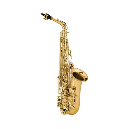  Ravel RAS202 Student Eb Alto Saxophone