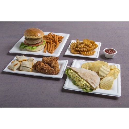  Conserveware Rectangular Plate, Bagasse, 10 X 5 Inch, 125 Count (Pack of 4)