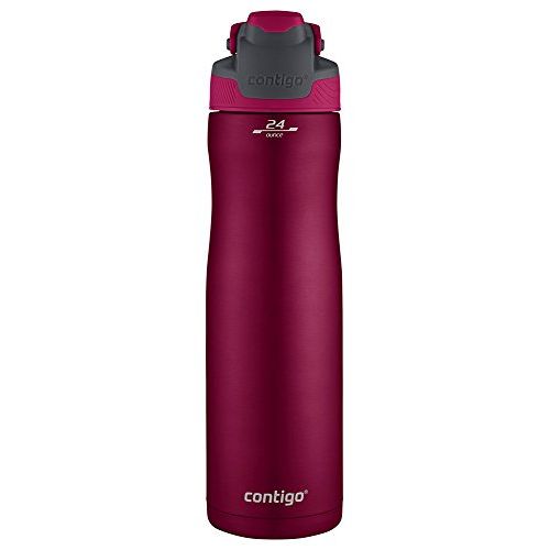  Contigo AutoSeal Chill Water Bottle, 24 Ounce, Very Berry