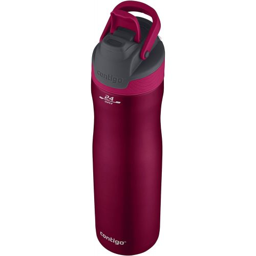  Contigo AutoSeal Chill Water Bottle, 24 Ounce, Very Berry