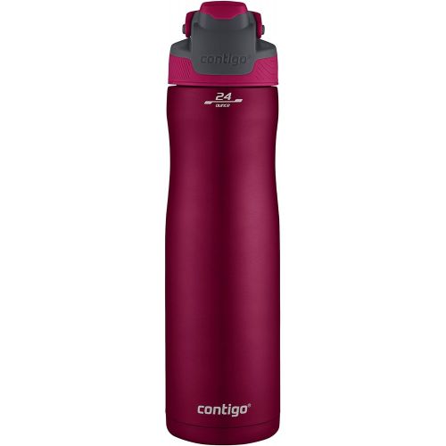  Contigo AutoSeal Chill Water Bottle, 24 Ounce, Very Berry