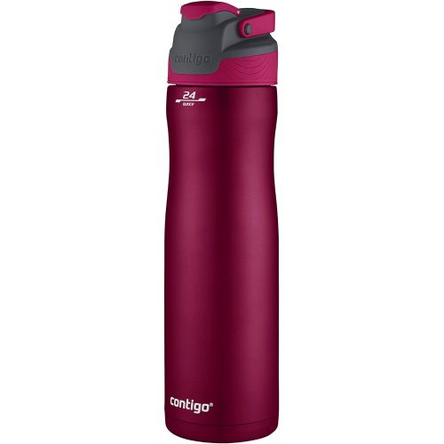  Contigo AutoSeal Chill Water Bottle, 24 Ounce, Very Berry