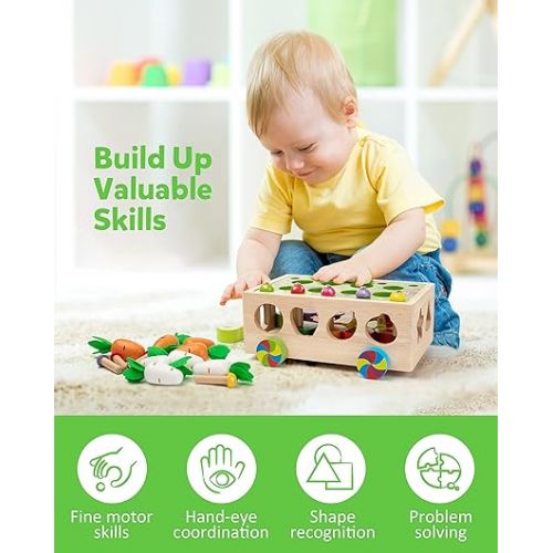  Montessori Fine Motor Toys for Baby Toddler, Wooden Shape Sorter Carrot Harvest Game, Preschool Learning Educational Gift Toy for 3 4 5 Year Old
