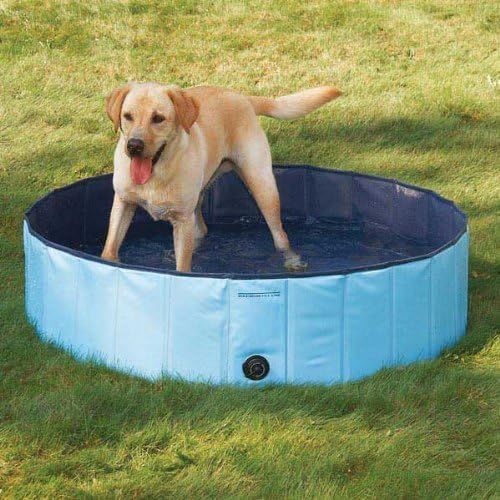  Cool Pup Splash About Dog Pool ,Blue