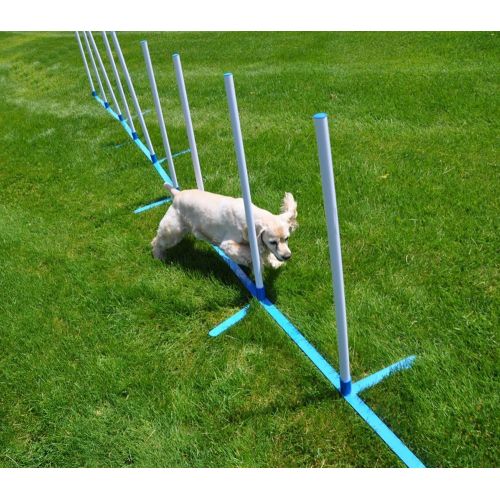 Cool Runners Agility Weave Poles Adjustable 6 Pole Set with Carrying Case and Grass Stakes
