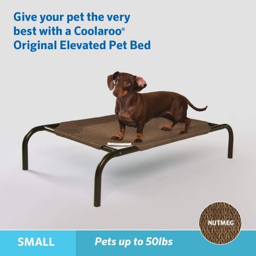  The Original Elevated Pet Bed by Coolaroo