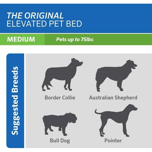  The Original Elevated Pet Bed by Coolaroo