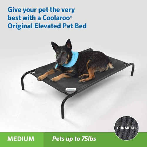  The Original Elevated Pet Bed by Coolaroo