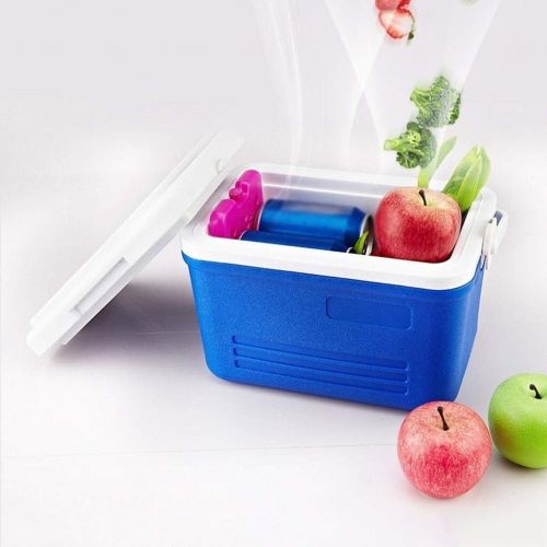  Cooler Box Car Load Outdoor Camping for Lunch - Food Delivery - Easy to Carry Blue