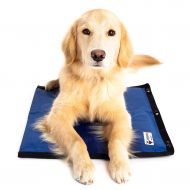 CoolerDog Dog Cooling Pad Dog Cooling Products Hydro Cooling Mat (23x18)