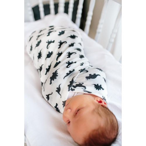  Large Premium Knit Baby Swaddle Receiving Blanket DinosWild by Copper Pearl