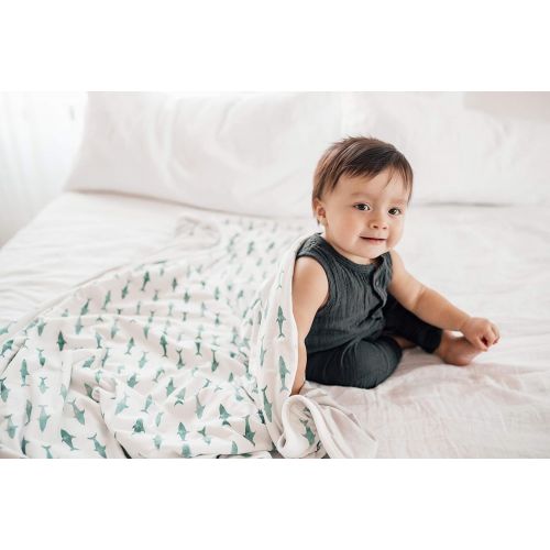  Large Premium Knit Baby 3 Layer Stretchy Quilt BlanketPacific by Copper Pearl