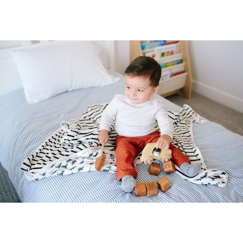  Large Premium Knit Baby 3 Layer Stretchy Quilt Blanket Dinos for BoysWild by Copper Pearl …