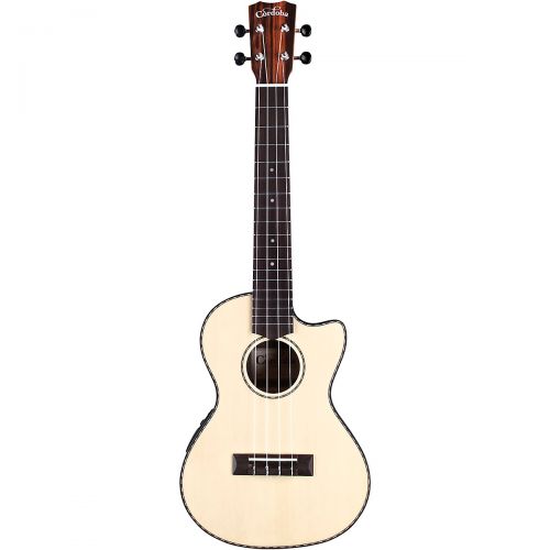  Cordoba},description:The 21 Series applies the most popular guitar soundboard wood (solid spruce) with an exotic striped ebony back and sides. The aesthetic is subtle and refined w