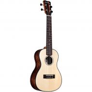 Cordoba},description:The 21 Series applies the most popular guitar soundboard wood, solid spruce, with an exotic striped ebony back and sides. The aesthetic is subtle and refined w