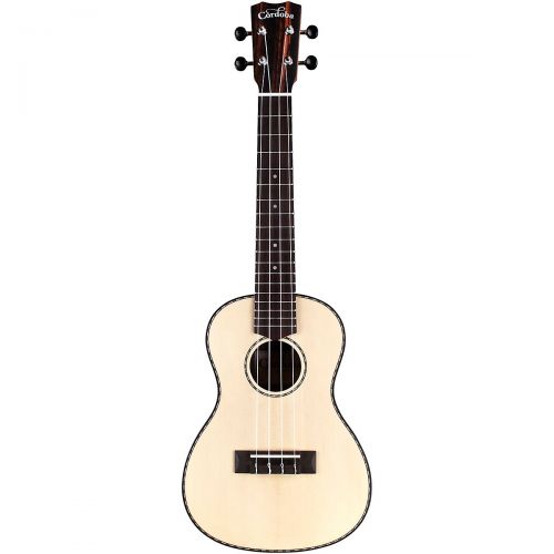  Cordoba},description:The 21 Series applies the most popular guitar soundboard wood (solid spruce) with an exotic striped ebony back and sides. The aesthetic is subtle and refined w