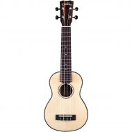 Cordoba},description:The 21 Series applies the most popular guitar soundboard wood (solid spruce) with an exotic striped ebony back and sides. The aesthetic is subtle and refined w