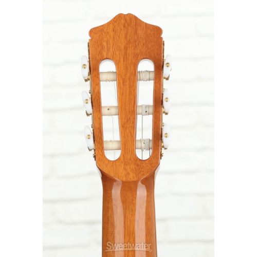  Cordoba C5 Nylon String Acoustic Guitar - Cedar