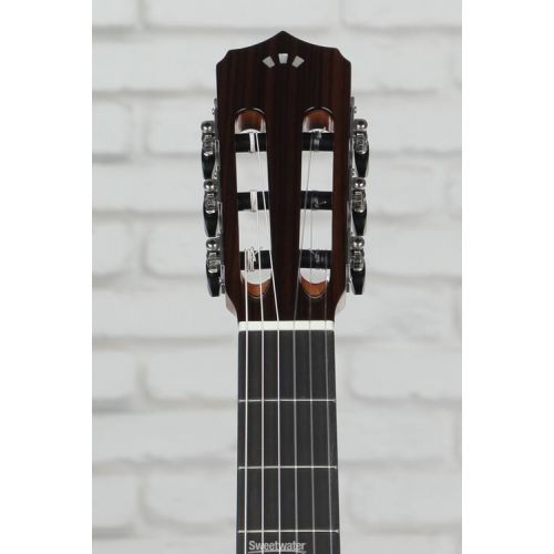  Cordoba Fusion 12 Orchestra CE Nylon String Acoustic Guitar - Cedar