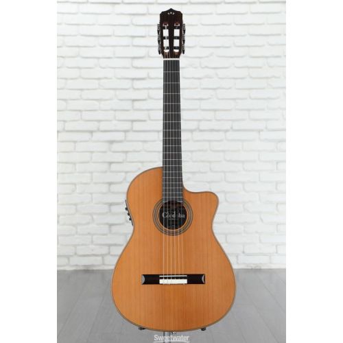  Cordoba Fusion 12 Orchestra CE Nylon String Acoustic Guitar - Cedar