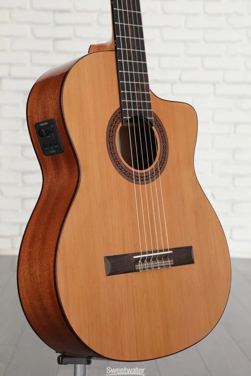 Cordoba C5-CE Nylon String Acoustic-Electric Guitar - Cedar