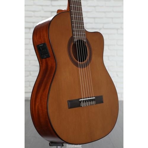  Cordoba C5-CE Nylon String Acoustic-Electric Guitar - Cedar